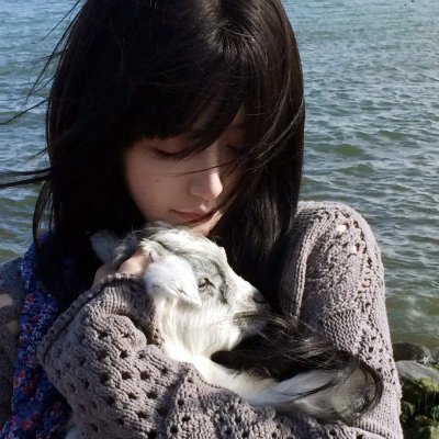 人海孤鸿